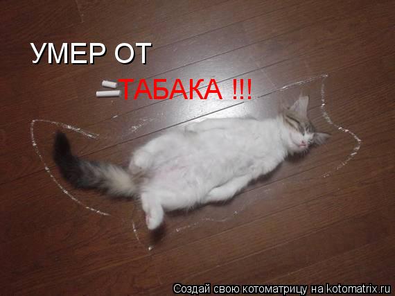 УМЕР ОТ ТАБАКА !!!... Котоматрица: УМЕР ОТ ТАБАКА !!!