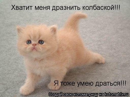 Хватит меня дразнить колбаской!!! Я тоже умею драться!!!... Котоматрица: Хватит меня дразнить колбаской!!! Я тоже умею драться!!!