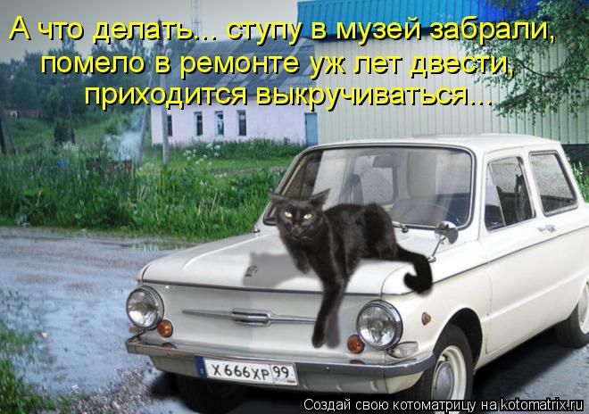 А что делать... ступу в музей забрали, помело в ремонте уж лет двести, приходится выкручиваться...... Котоматрица: А что делать... ступу в музей забрали, помело в ремонте уж лет двести, приходится выкручиваться...