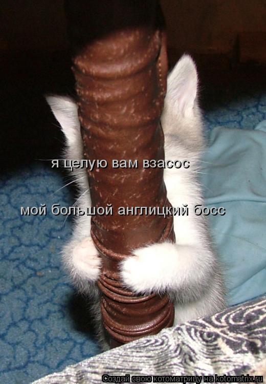 я целую вам взасос мой большой англицкий босс... Котоматрица: я целую вам взасос мой большой англицкий босс