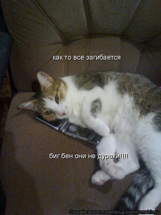 как то все загибается биг бен они не дураки!!!!... Котоматрица: как то все загибается биг бен они не дураки!!!!