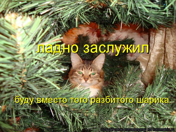 ладно заслужил буду вместо того разбитого шарика... Котоматрица: ладно заслужил буду вместо того разбитого шарика