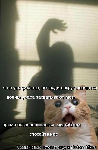 я не употребляю, но люди вокруг меняются волны ужаса захватывают мозг время останавливается, мы гибне... Котоматрица: я не употребляю, но люди вокруг меняются волны ужаса захватывают мозг время останавливается, мы гибнем спосайте нас