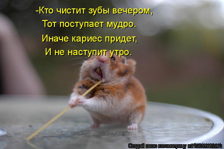-Кто чистит зубы вечером, Тот поступает мудро. Иначе кариес придет, И не наступит утро.... Котоматрица: -Кто чистит зубы вечером, Тот поступает мудро. Иначе кариес придет, И не наступит утро.