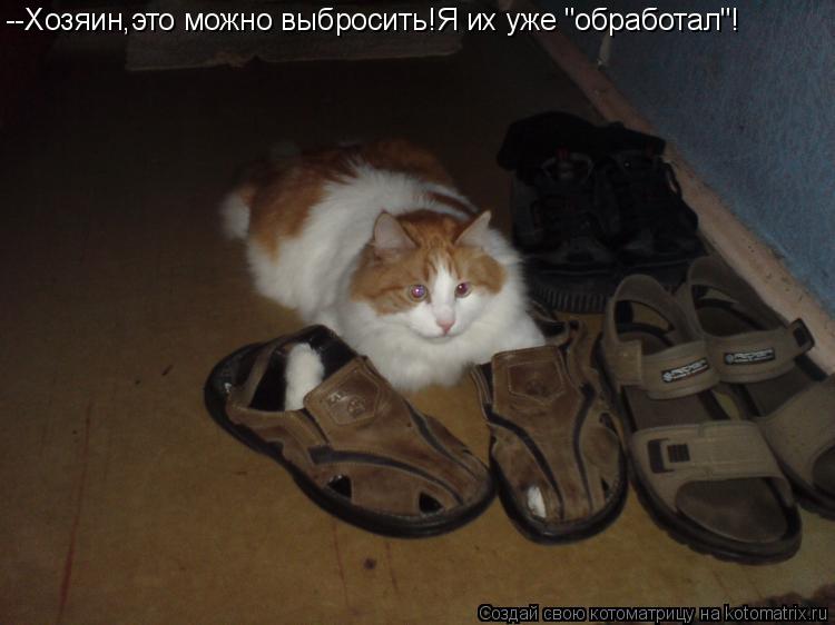 --Хозяин,это можно выбросить!Я их уже "обработал"!... Котоматрица: --Хозяин,это можно выбросить!Я их уже "обработал"!