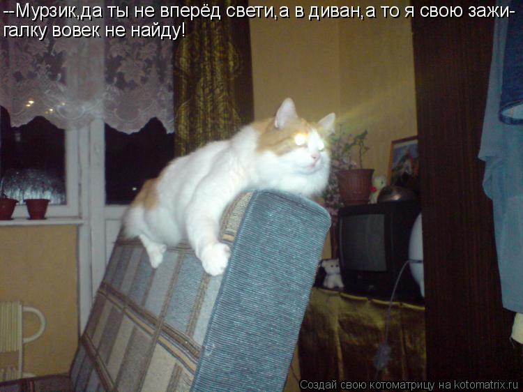 --Мурзик,да ты не вперёд свети,а в диван,а то я свою зажи- галку вовек не найду!... Котоматрица: --Мурзик,да ты не вперёд свети,а в диван,а то я свою зажи- галку вовек не найду!