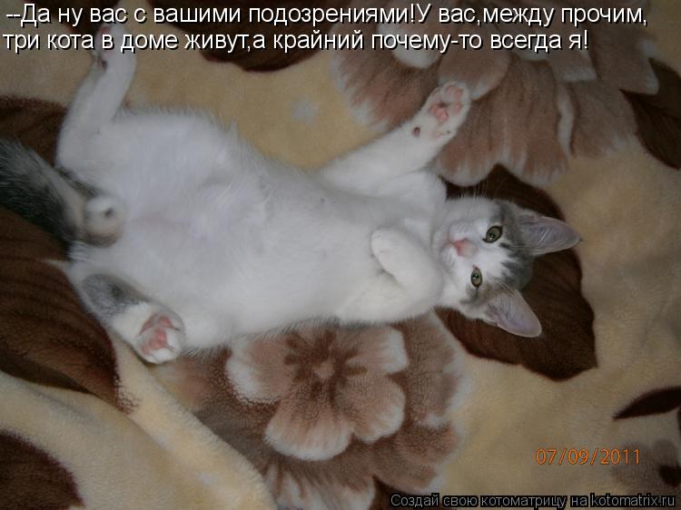 --Да ну вас с вашими подозрениями!У вас,между прочим, три кота в доме живут,а крайний почему-то всегд... Котоматрица: --Да ну вас с вашими подозрениями!У вас,между прочим, три кота в доме живут,а крайний почему-то всегда я!