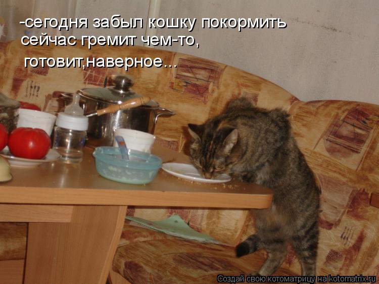 Котоматрица: -сегодня забыл кошку покормить сейчас гремит чем-то, готовит,наверное...