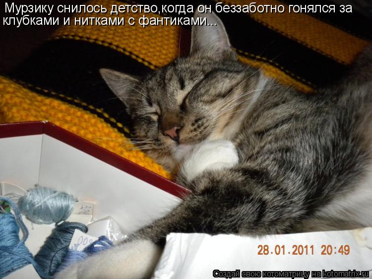 Мурзику снилось детство,когда он беззаботно гонялся за клубками и нитками с фантиками...... Котоматрица: Мурзику снилось детство,когда он беззаботно гонялся за клубками и нитками с фантиками...