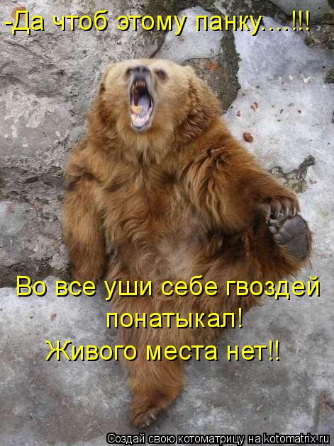 -Да чтоб этому панку....!!! Во все уши себе гвоздей понатыкал! Живого места нет!!... Котоматрица: -Да чтоб этому панку....!!! Во все уши себе гвоздей понатыкал! Живого места нет!!