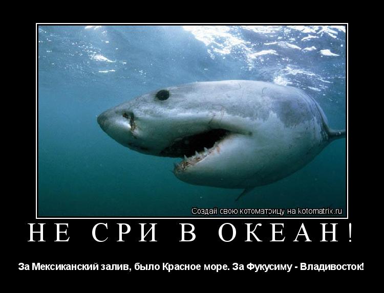Котоматрица: Не сри в океан! За Мексиканский залив, было Красное море. За Фукусиму - Владивосток!