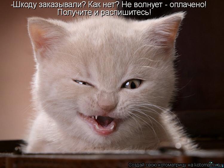 -Шкоду заказывали? Как нет? Не волнует - оплачено! Получите и распишитесь!... Котоматрица: -Шкоду заказывали? Как нет? Не волнует - оплачено! Получите и распишитесь!