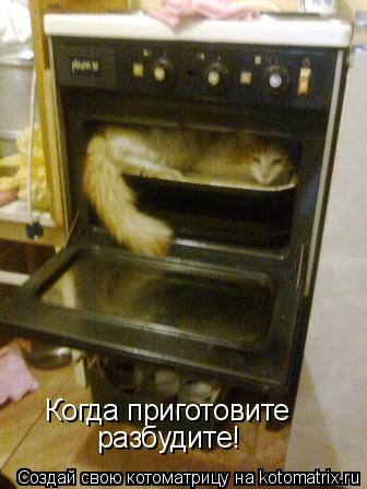 Когда приготовите разбудите!... Котоматрица: Когда приготовите разбудите!