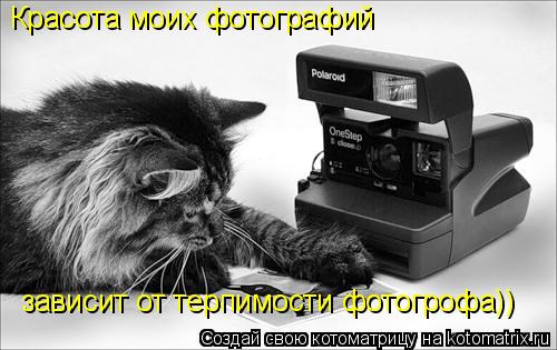 Красота моих фотографий зависит от терпимости фотогрофа))... Котоматрица: Красота моих фотографий зависит от терпимости фотогрофа))
