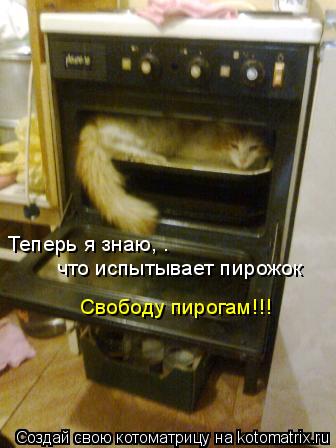 Теперь я знаю, . что испытывает пирожок Свободу пирогам!!!... Котоматрица: Теперь я знаю, . что испытывает пирожок Свободу пирогам!!!