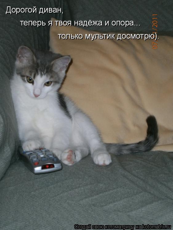 Дорогой диван, теперь я твоя надёжа и опора... только мультик досмотрю).... Котоматрица: Дорогой диван, теперь я твоя надёжа и опора... только мультик досмотрю).