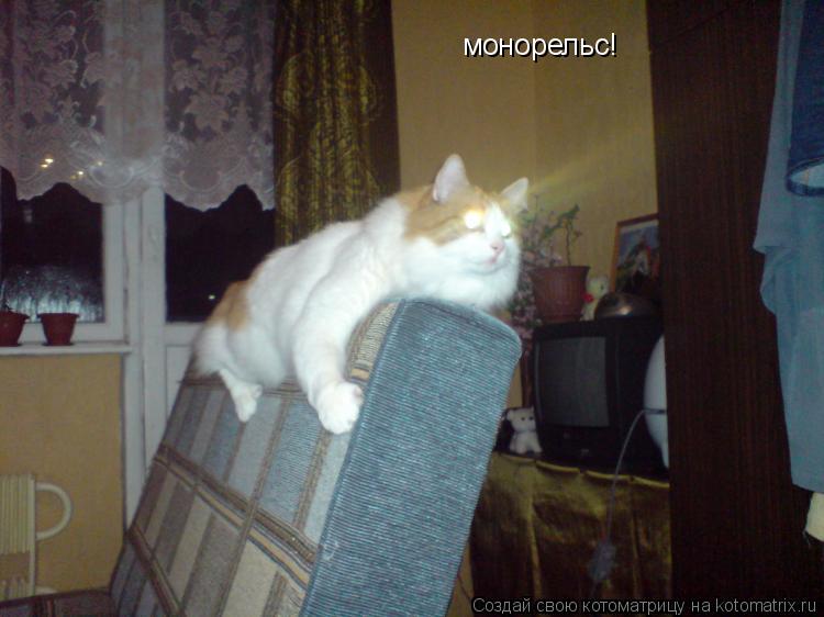 монорельс!... Котоматрица: монорельс!