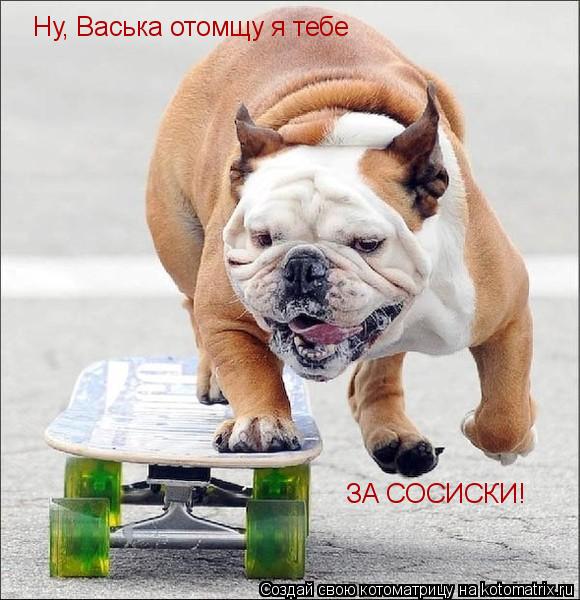 Ну, Васька отомщу я тебе ЗА СОСИСКИ!... Котоматрица: Ну, Васька отомщу я тебе ЗА СОСИСКИ!
