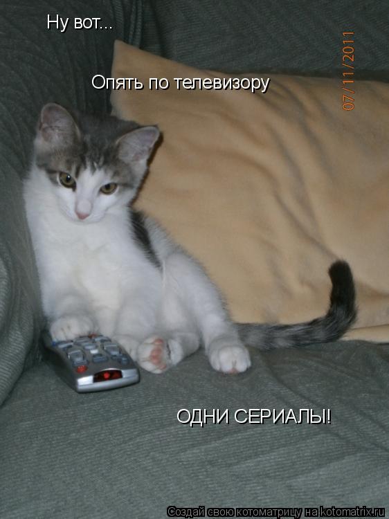 Ну вот... Опять по телевизору ОДНИ СЕРИАЛЫ!... Котоматрица: Ну вот... Опять по телевизору ОДНИ СЕРИАЛЫ!