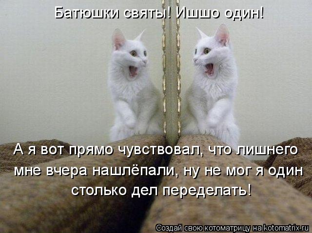 Батюшки святы! Ишшо один! А я вот прямо чувствовал, что лишнего мне вчера нашлёпали, ну не мог я оди... Котоматрица: Батюшки святы! Ишшо один! А я вот прямо чувствовал, что лишнего мне вчера нашлёпали, ну не мог я один столько дел переделать!