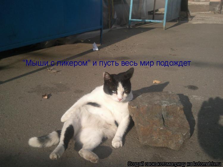 "Мыши с ликером" и пусть весь мир подождет... Котоматрица: "Мыши с ликером" и пусть весь мир подождет