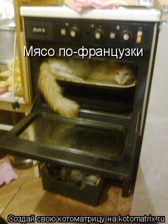 Мясо по-французки... Котоматрица: Мясо по-французки