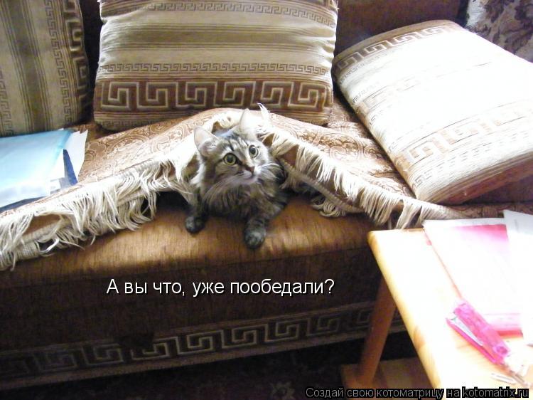 А вы что, уже пообедали?... Котоматрица: А вы что, уже пообедали?