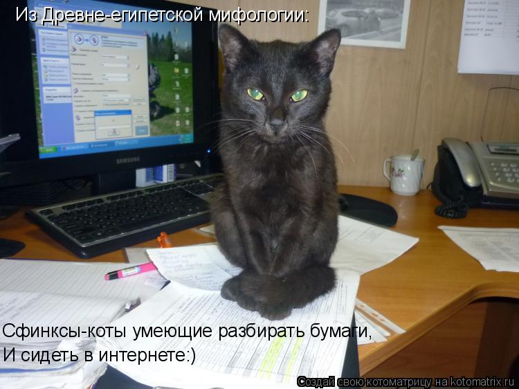 Из Древне-египетской мифологии: Сфинксы-коты умеющие разбирать бумаги, И сидеть в интернете:)... Котоматрица: Из Древне-египетской мифологии: Сфинксы-коты умеющие разбирать бумаги, И сидеть в интернете:)