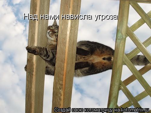 Над нами нависла угроза... Котоматрица: Над нами нависла угроза