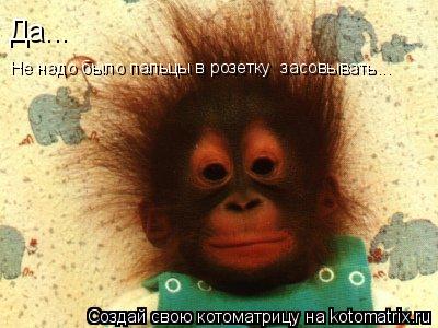 Да... Не надо было пальцы в розетку засовывать...... Котоматрица: Да... Не надо было пальцы в розетку засовывать...