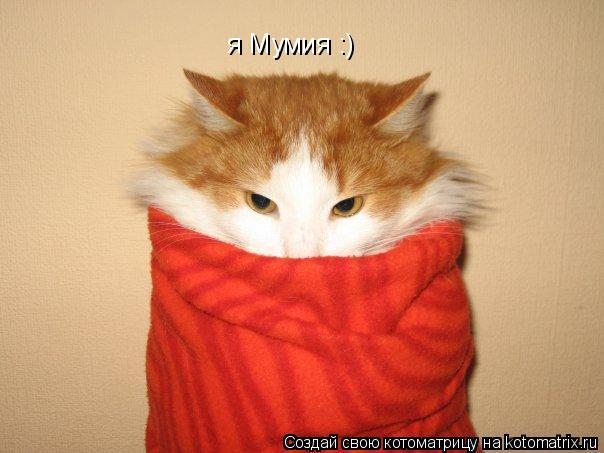 я Мумия :)... Котоматрица: я Мумия :)