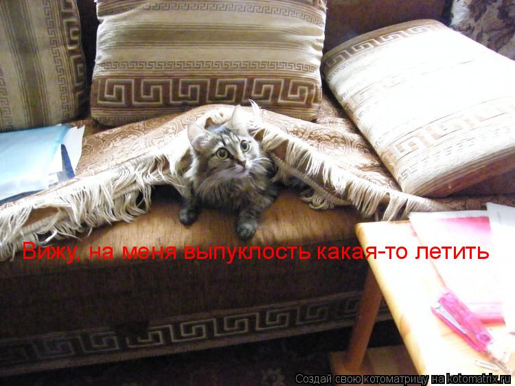 Вижу, на меня выпуклость какая-то летить... Котоматрица: Вижу, на меня выпуклость какая-то летить