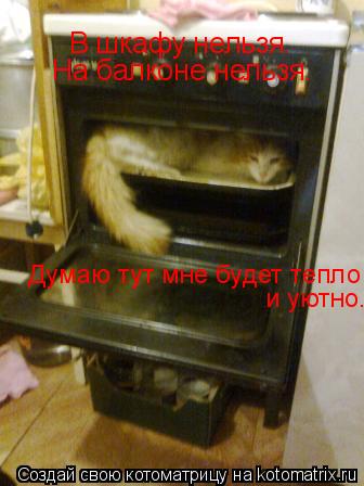 В шкафу нельзя. На балконе нельзя. Думаю тут мне будет тепло и уютно.... Котоматрица: В шкафу нельзя. На балконе нельзя. Думаю тут мне будет тепло и уютно.