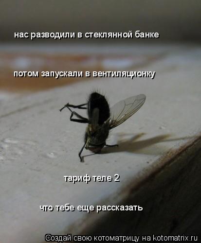 нас разводили в стеклянной банке потом запускали в вентиляционку тариф теле 2 что тебе еще рассказать... Котоматрица: нас разводили в стеклянной банке потом запускали в вентиляционку тариф теле 2 что тебе еще рассказать