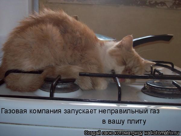 Газовая компания запускает неправильный газ в вашу плиту... Котоматрица: Газовая компания запускает неправильный газ в вашу плиту