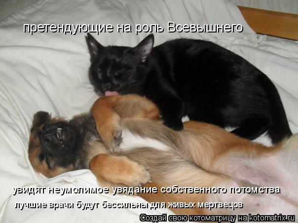 претендующие на роль Всевышнего увидят неумолимое увядание собственного потомства лучшие врачи будут ... Котоматрица: претендующие на роль Всевышнего увидят неумолимое увядание собственного потомства лучшие врачи будут бессильны для живых мертвецов