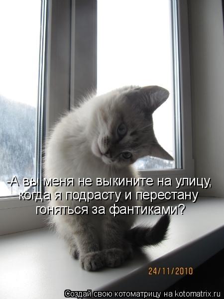 -А вы меня не выкините на улицу, когда я подрасту и перестану гоняться за фантиками?... Котоматрица: -А вы меня не выкините на улицу, когда я подрасту и перестану гоняться за фантиками?