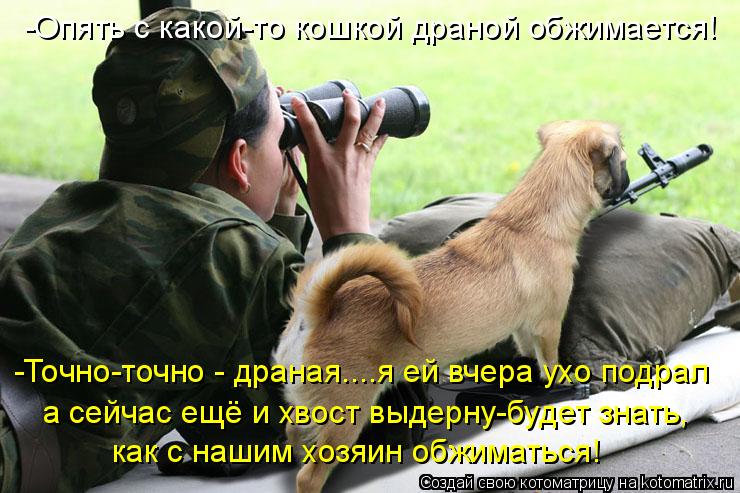 -Опять с какой-то кошкой драной обжимается! -Точно-точно - драная....я ей вчера ухо подрал а сейчас е... Котоматрица: -Опять с какой-то кошкой драной обжимается! -Точно-точно - драная....я ей вчера ухо подрал а сейчас ещё и хвост выдерну-будет знать, как с нашим