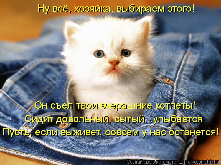 Котоматрица: Ну всё, хозяйка, выбираем этого! Он съел твои вчерашние котлеты! Сидит довольный, сытый...улыбается Пусть, если выживет, совсем у нас останетс