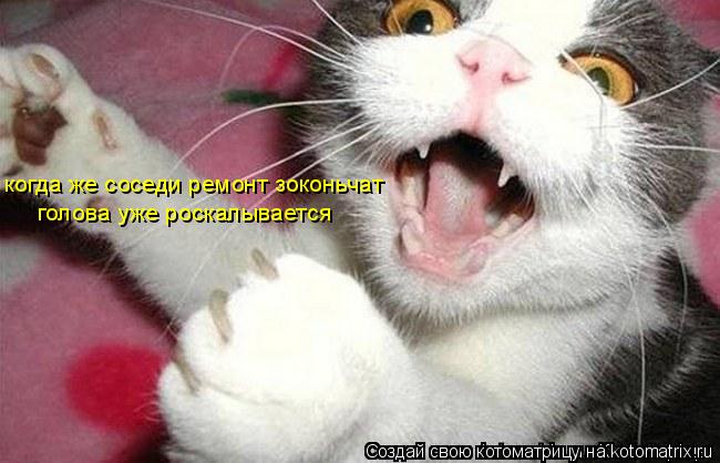 когда же соседи ремонт зоконьчат голова уже роскалывается... Котоматрица: когда же соседи ремонт зоконьчат голова уже роскалывается