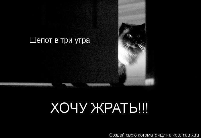 Шепот в три утра ХОЧУ ЖРАТЬ!!!... Котоматрица: Шепот в три утра ХОЧУ ЖРАТЬ!!!