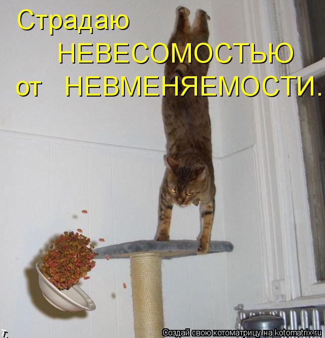 Страдаю НЕВЕСОМОСТЬЮ от НЕВМЕНЯЕМОСТИ.... Котоматрица: Страдаю НЕВЕСОМОСТЬЮ от НЕВМЕНЯЕМОСТИ.
