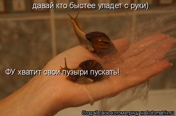 давай кто быстее упадет с руки) ФУ хватит свои пузыри пускать!... Котоматрица: давай кто быстее упадет с руки) ФУ хватит свои пузыри пускать!