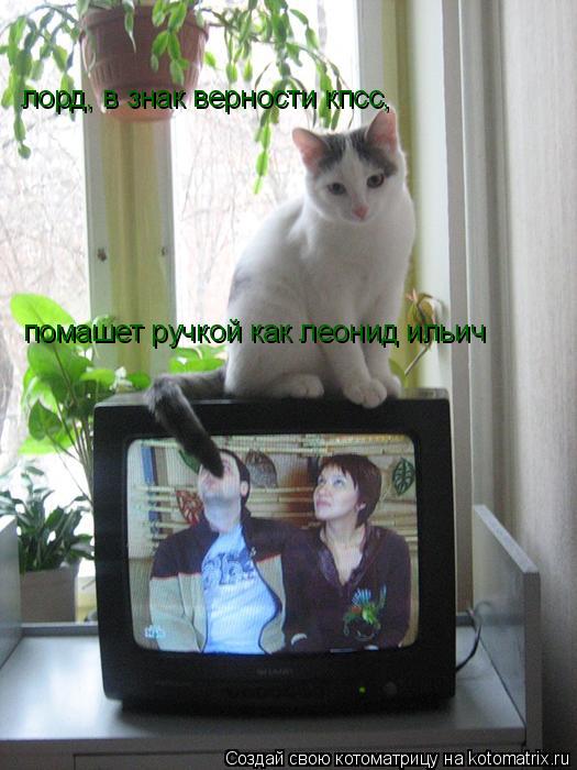 лорд, в знак верности кпсс, помашет ручкой как леонид ильич... Котоматрица: лорд, в знак верности кпсс, помашет ручкой как леонид ильич