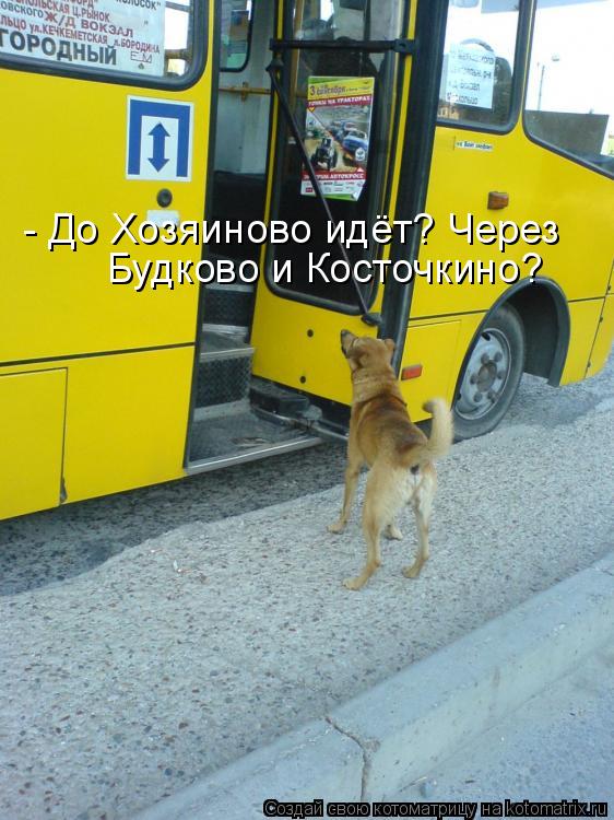 - До Хозяиново идёт? Через Будково и Косточкино?... Котоматрица: - До Хозяиново идёт? Через Будково и Косточкино?