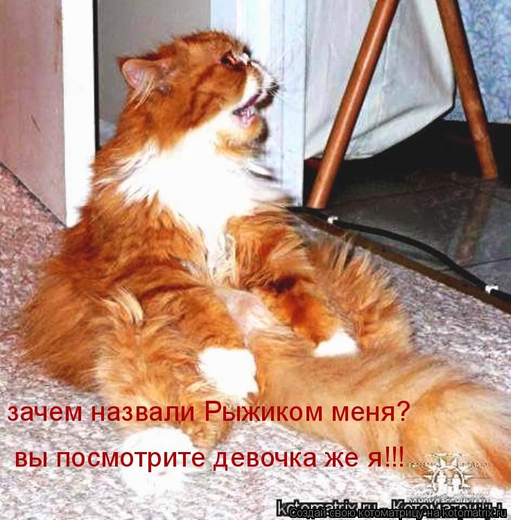 зачем назвали Рыжиком меня? вы посмотрите девочка же я!!!... Котоматрица: зачем назвали Рыжиком меня? вы посмотрите девочка же я!!!