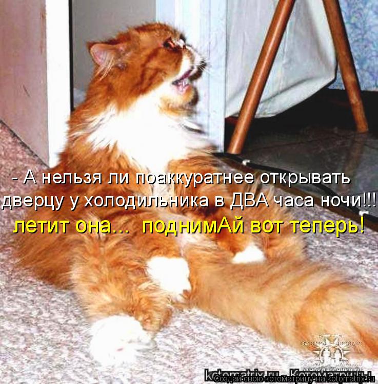 - А нельзя ли поаккуратнее открывать дверцу у холодильника в ДВА часа ночи!!! летит она... поднимАй ... Котоматрица: - А нельзя ли поаккуратнее открывать дверцу у холодильника в ДВА часа ночи!!! летит она... поднимАй вот теперь!