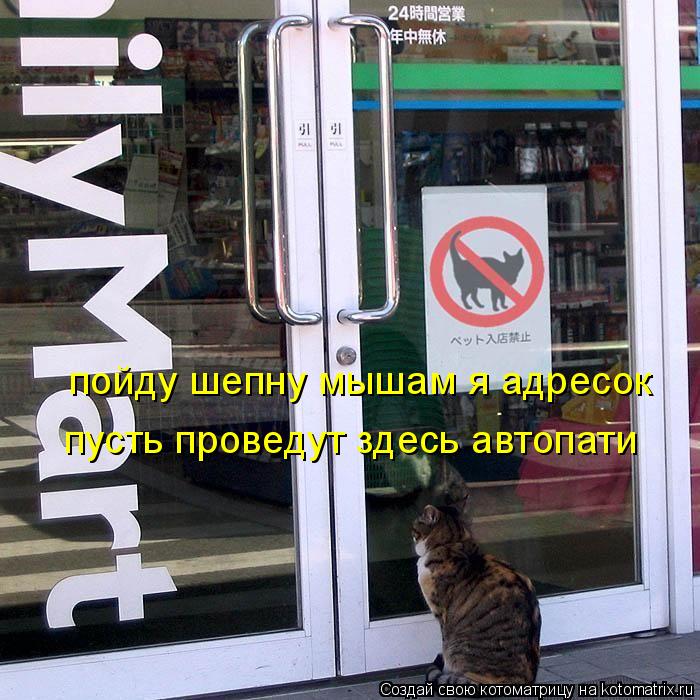 пойду шепну мышам я адресок пусть проведут здесь автопати... Котоматрица: пойду шепну мышам я адресок пусть проведут здесь автопати
