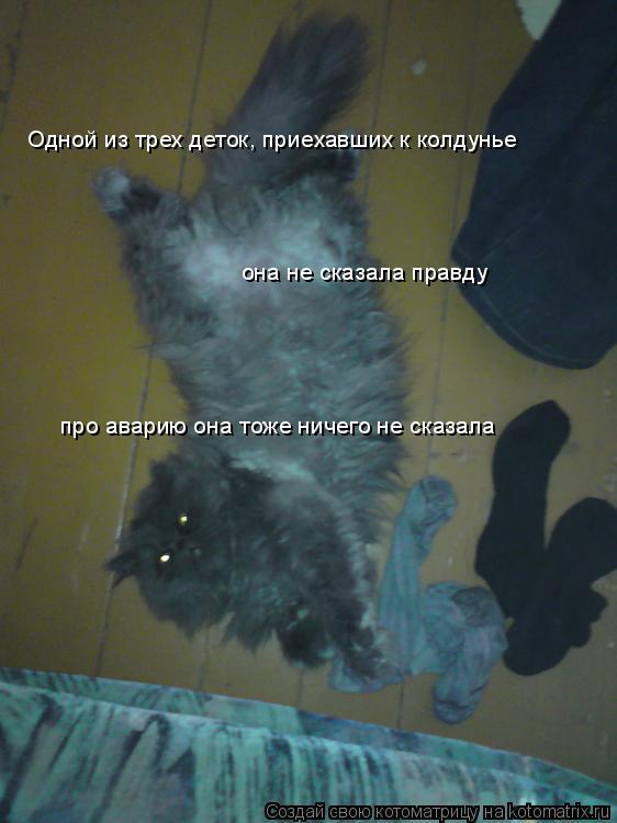 Одной из трех деток, приехавших к колдунье она не сказала правду про аварию она тоже ничего не сказал... Котоматрица: Одной из трех деток, приехавших к колдунье она не сказала правду про аварию она тоже ничего не сказала