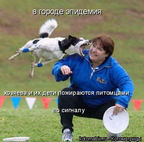 в городе эпидемия хозяева и их дети пожираются питомцами по сигналу... Котоматрица: в городе эпидемия хозяева и их дети пожираются питомцами по сигналу